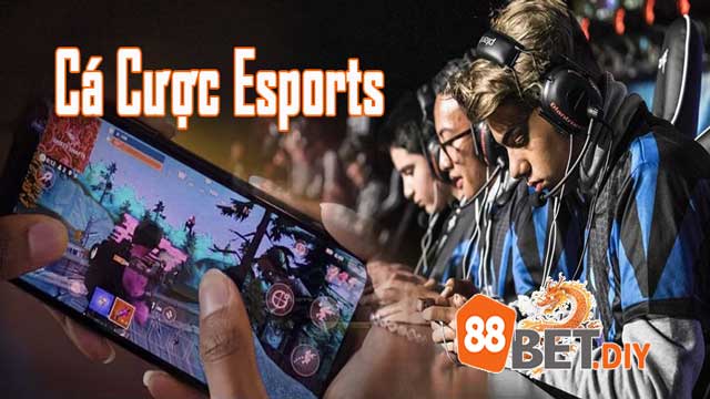 Cá Cược Esports