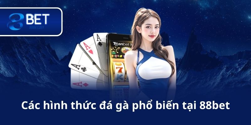 Các hình thức đá gà phổ biến tại 88bet